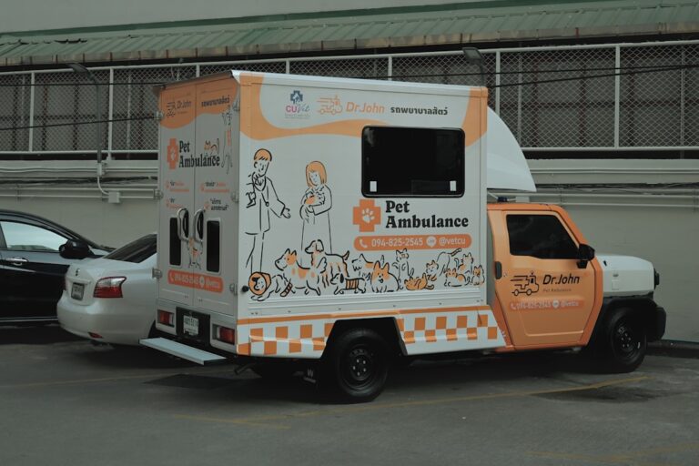 Tanda Darurat Medis Anjing yang Wajib Segera ke Dokter Hewan